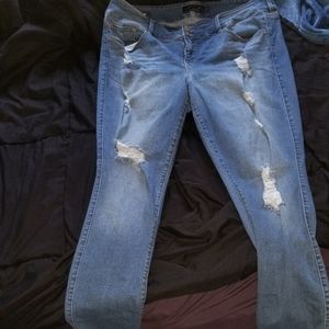 Torrid Blue Jean Jeggings